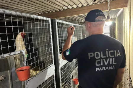 Répteis, aves e mamíferos foram resgatados