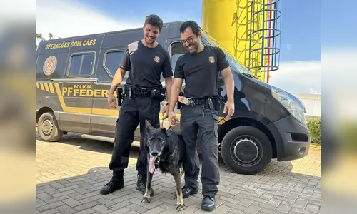 Cão policial auxilia tratamento de menores com dependência química