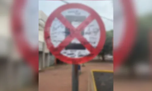 Jovem suspeito de depredar placa de trânsito vai parar na delegacia