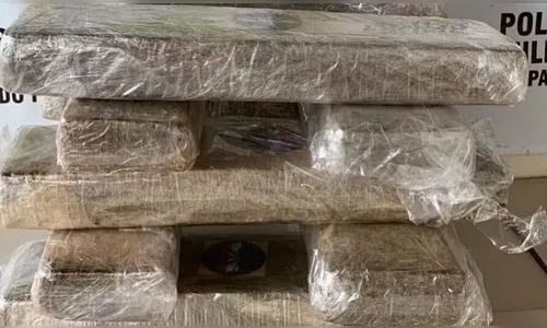Funcionária de loja recebe encomenda errada com 12 kg de maconha