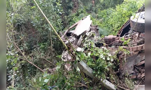 Caminhoneiro morre após veículo cair em ribanceira na BR-277