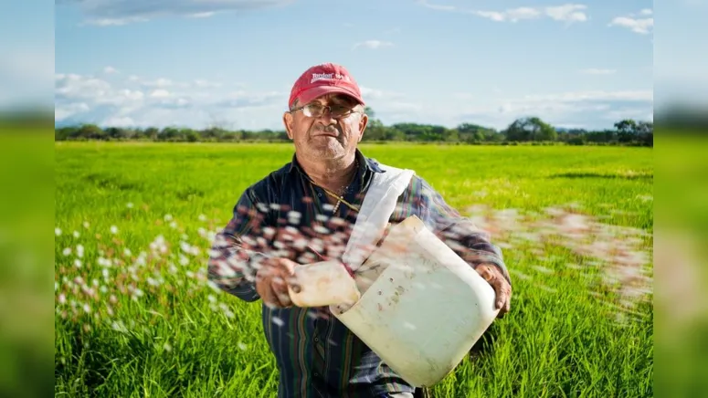 Imagem ilustrativa da notícia Governo precisa de uma nova lente para enxergar o Brasil