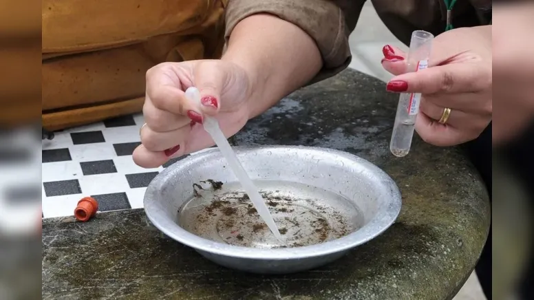 Imagem ilustrativa da notícia O que fazer com esses números que não param de crescer?