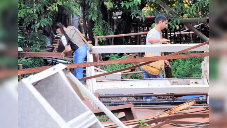 Imagem ilustrativa da notícia Por que o mosquito gosta mais de Apucarana?