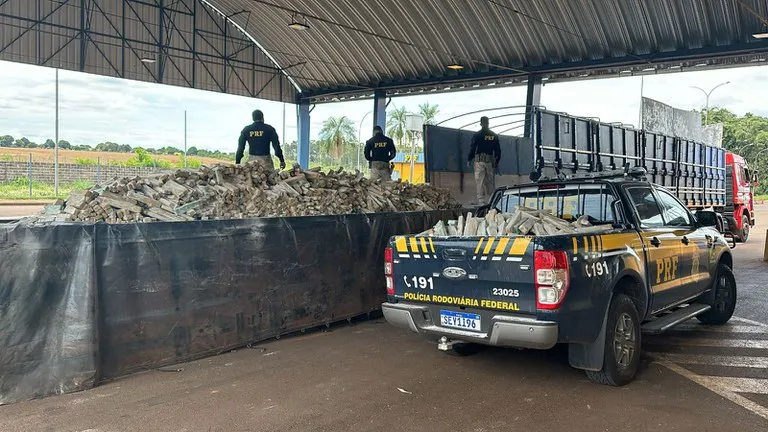 A apreensão foi registrada na manhã desta sexta-feira (8)