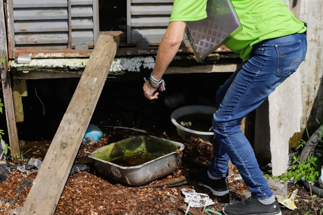 Ação de combate a dengue no Litoral