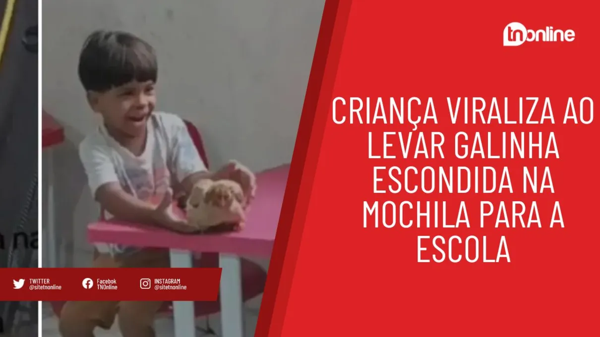 Criança viraliza ao levar galinha escondida na mochila para a escola