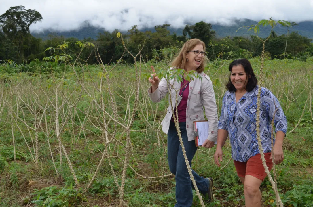 O IDR-Paraná tem entre os seus 1.400 colaboradores 505 mulheres