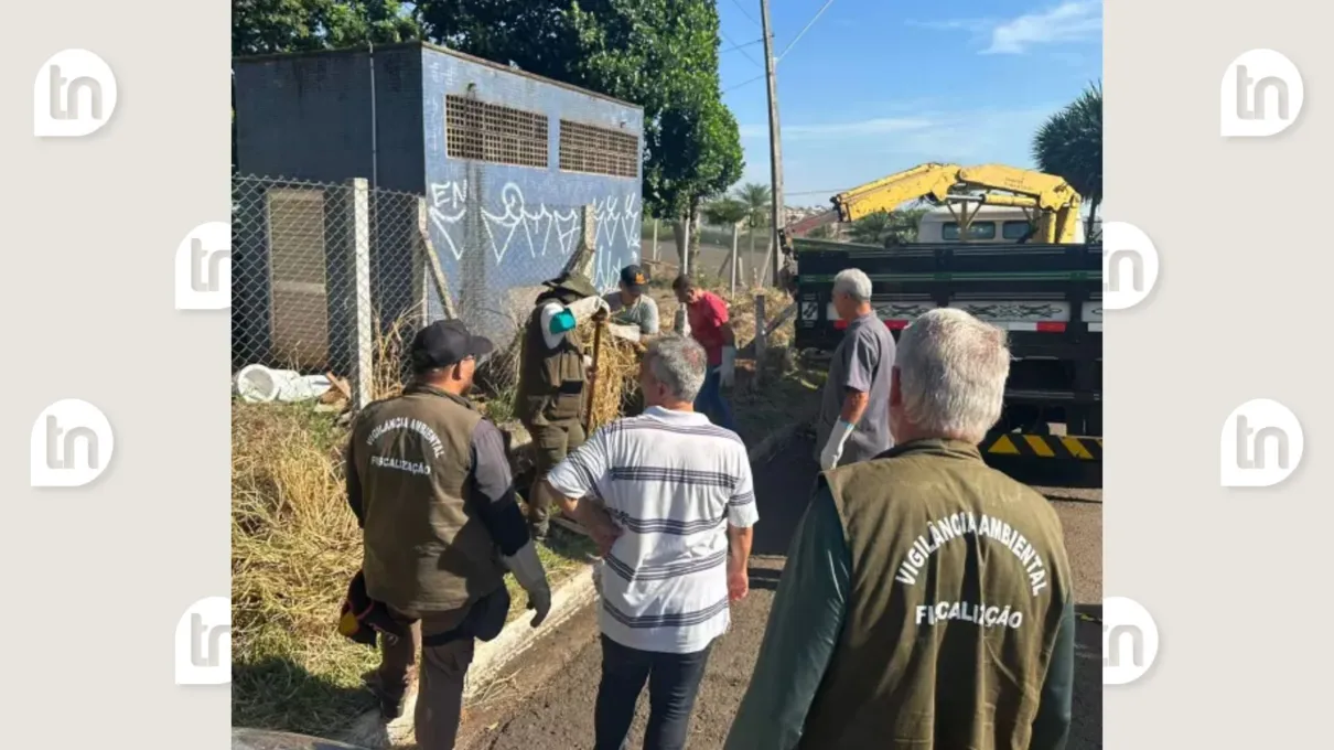 O trabalho de captura foi feito com a ajuda de agentes da Vigilância Sanitária