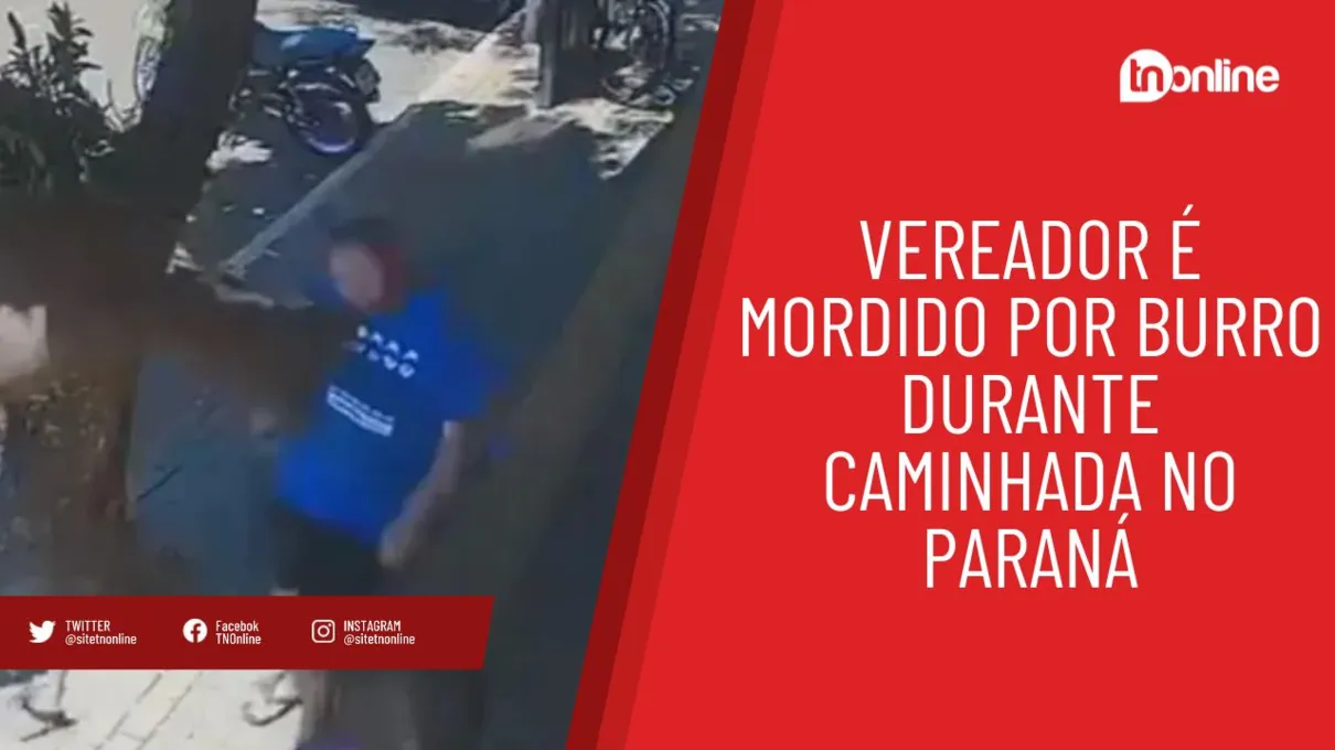 Vereador é mordido por burro durante caminhada no Paraná