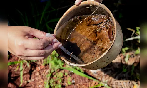 Região confirma mais 3 óbitos e Apucarana ultrapassa 10 mil casos