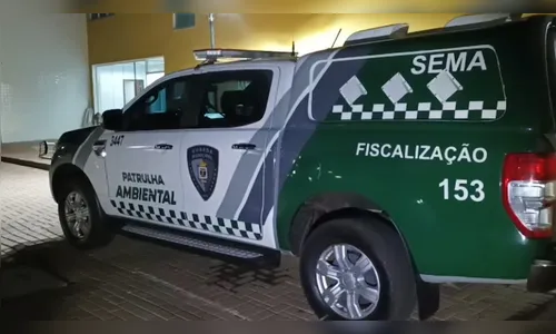 Motorista embriagado atropela criança, tenta fugir e é linchado no PR