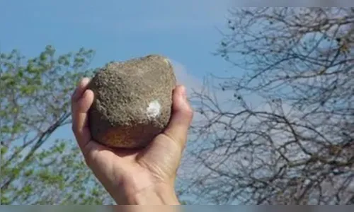 Homem acusa cunhada de o agredir com pedrada em Rosário do Ivaí