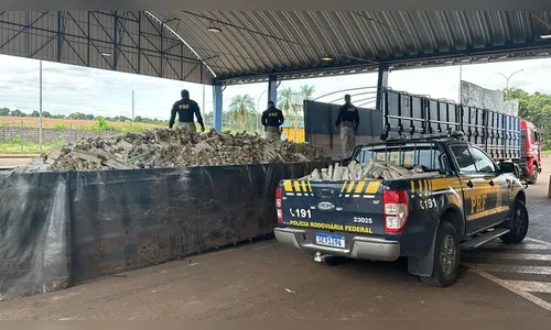 PRF apreende grande quantidade de maconha em assoalho falso de carreta