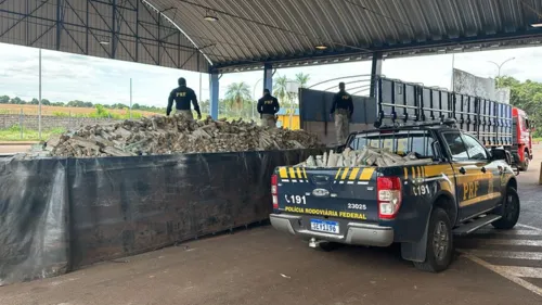 A apreensão foi registrada na manhã desta sexta-feira (8)