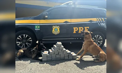 Homem foge da fiscalização da PRF no PR e é preso com cocaína em SC