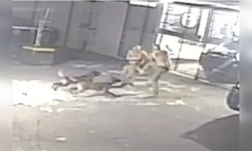 Policiais de tropa de elite brigam e acabam atacados por cães; vídeo