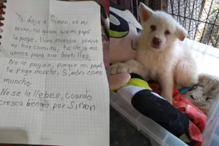 A criança prometeu buscar o cãozinho quando completar 18 anos