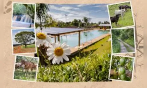 Caminhada do “Barra Nova” acontece no dia 7 de abril