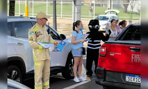 Contra a dengue: ações de combate ao mosquito foram redobradas no PR