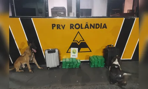 Polícia apreende mais de 33 kg de maconha dentro de ônibus em Rolândia