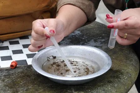 Mutirão contra a dengue