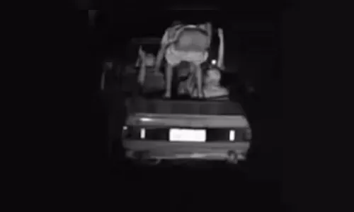 Homem mostra bumbum para radar e dispositivo documenta foto em multa