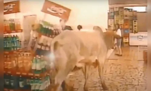 O dia que um mercado sorteou um boi vivo em Apucarana; relembre