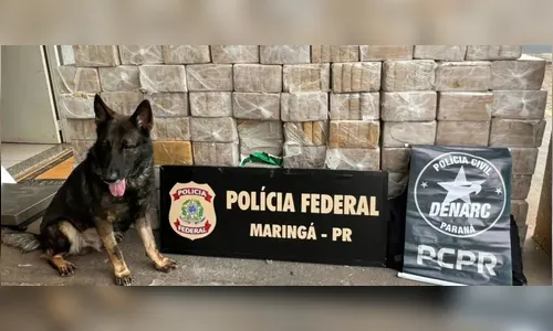 Ação policial apreende mais de 420 quilos de cocaína no noroeste do PR