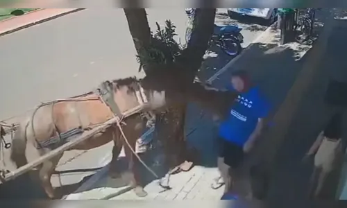 Vereador é mordido por burro durante caminhada no Paraná