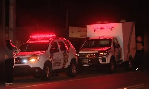 Aposentado de 73 anos morre após ser atacado por abelhas no Paraná