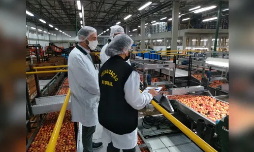 Semana pode ser decisiva para a fiscalização de produtos agropecuários
