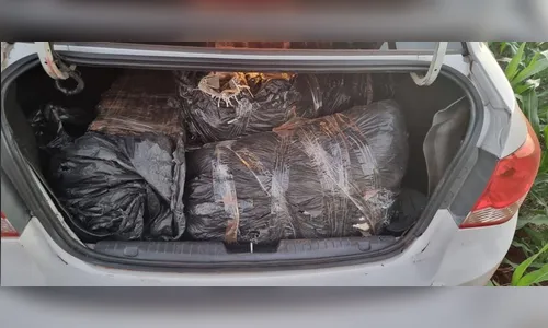 Polícia Federal apreende 400 kg de maconha e skunk em Paiçandu