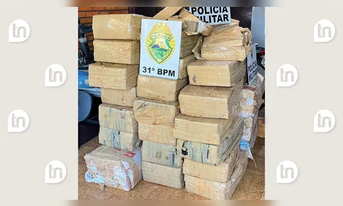 Polícia Militar apreende quase uma tonelada de maconha em Palotina