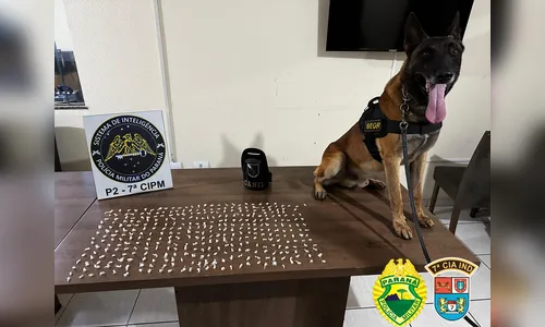 Policiais encontram 365 pedras de crack em terreno baldio em Arapongas