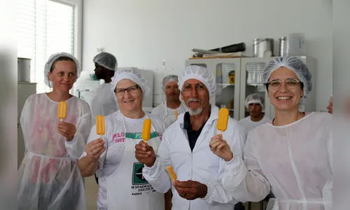 Fruticultura do Paraná ajuda a expandir produção de sorvetes