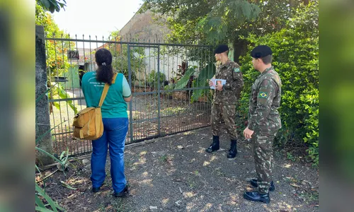 Apucarana decreta situação de emergência por dengue