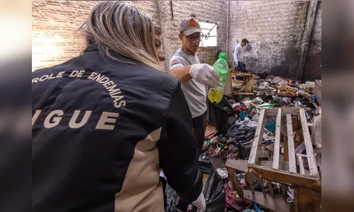 Prefeitura de Arapongas intensifica força-tarefa contra a dengue