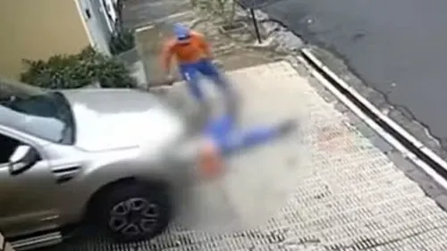 Gari descansava na calçada em frente a garagem de um prédio