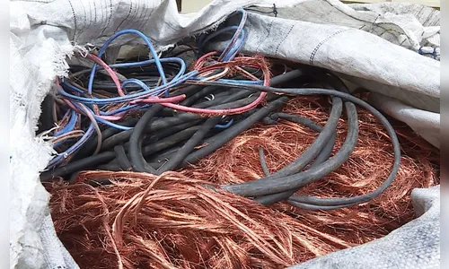 Barracão da Prefeitura Municipal é alvo de criminoso em Apucarana