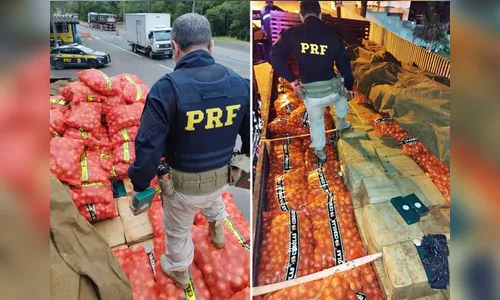 Durante o fim de semana, PRF apreende 1,5 t de drogas no Paraná