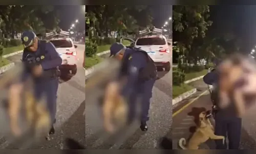 Criança foge de casa e é encontrada acompanhada de cachorro caramelo