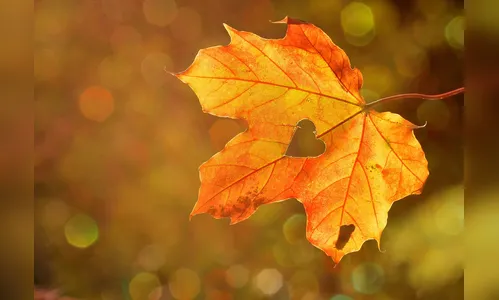 Mudança de estação: veja a previsão do tempo desta quarta em Apucarana