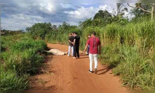 Homem é degolado e morto com cerca de 20 facadas