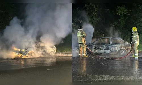 Carro fica completamente destruído após pegar fogo na PR-445