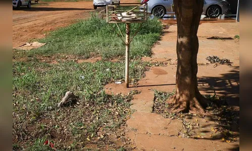 Jovem surta, corre nu pelas ruas e morre misteriosamente