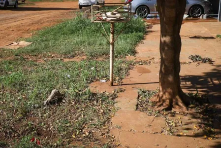 O caso foi registrado em Campo Grande, Mato Grosso do Sul