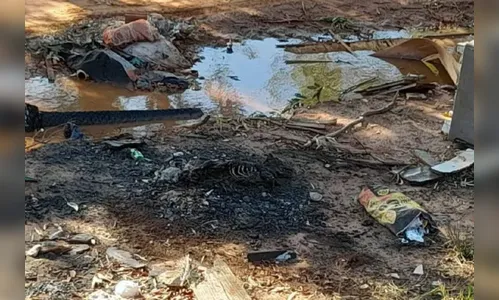 Cachorra tem patas amarradas e é queimada viva no Paraná