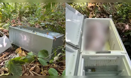 Corpo é encontrado em geladeira por motorista de frete durante mudança