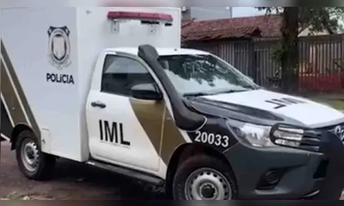 Homem de 51 anos morre após ataque de abelhas no Sul do Paraná